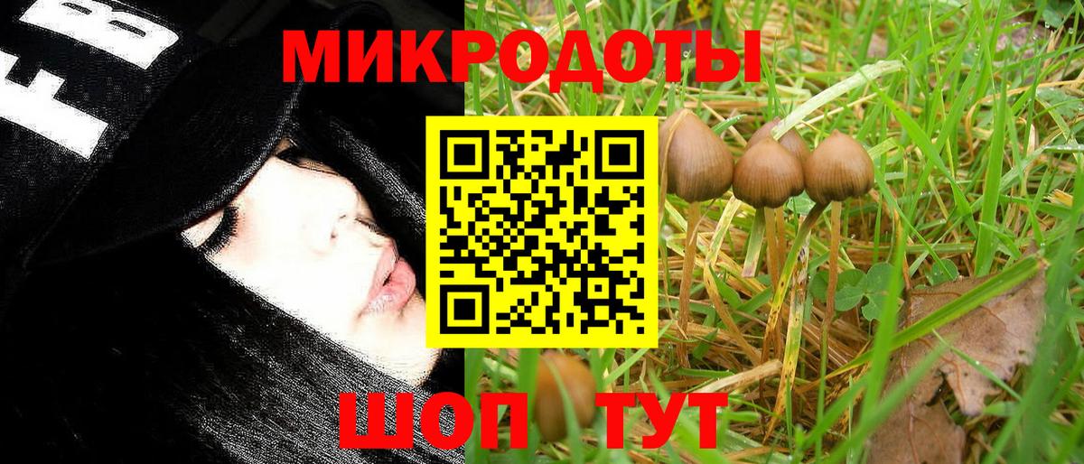 Галлюциногенные грибы Psilocybine cubensis  Вход с VPN  купить   Галлюциногенные грибы прущие грибы  Заринск 